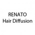 RENATO Hair Diffusion