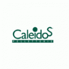 Caleidos
