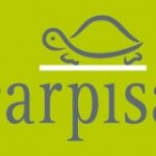 Carpisa