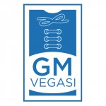 GM Vegasi