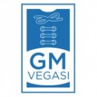 GM Vegasi