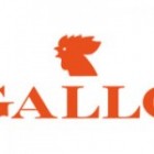 Gallo